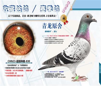 <开尔13名之母>天津皓翔4名:全平辈