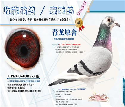 <开尔49名之母>不死必归家族