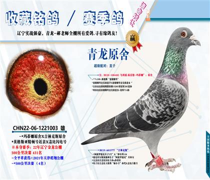 <开尔49名之父>天津皓翔4名全平辈