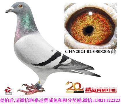 �Ǳ����롱�ʼһҡ�������Ů