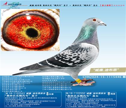 威廉迪布恩“飓风号直子”ד飓风号”直女