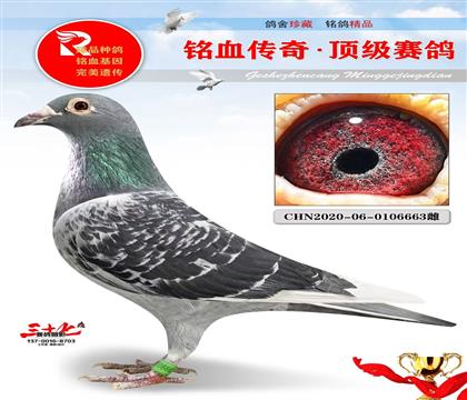 威廉吉尔特、520冠军母亲