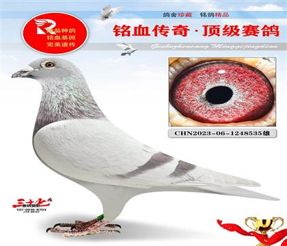 吉尔特海伦、帽子戏法直孙