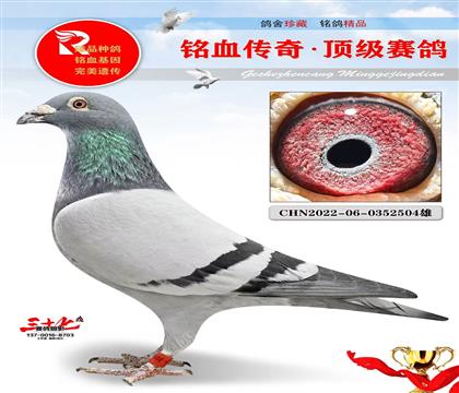 老功勋直子、做出5关7名