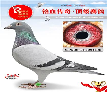 老功勋回血直女