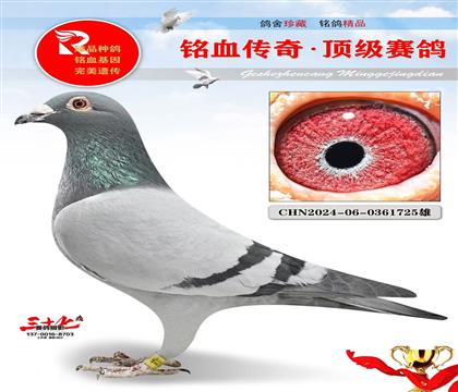 北京壹号、克拉克、超级好