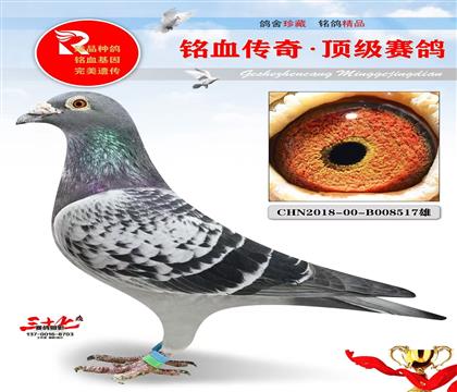 开尔黄金对雄、做出冠军