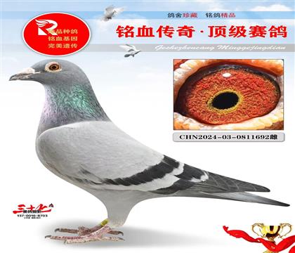 最火帽子戏法、开尔做出