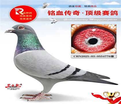 公棚季军全平辈、开尔做出