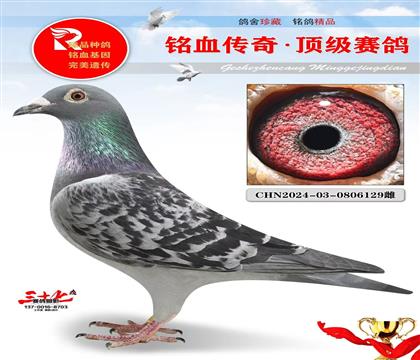 最火帽子戏法、开尔做出