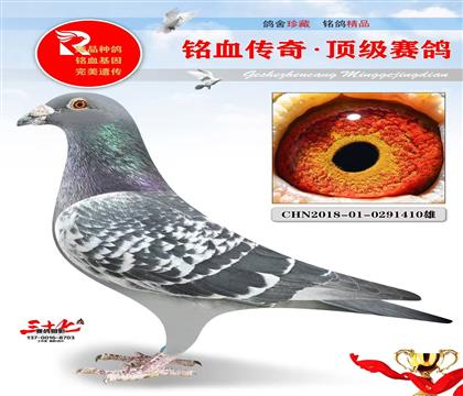 利奥“杨”直孙、超级好