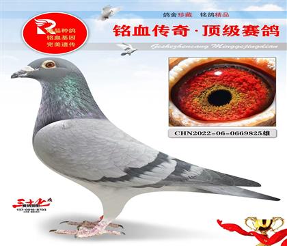 重点、老英格斯·胡本原舍