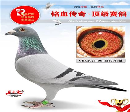 老日本、特别实战