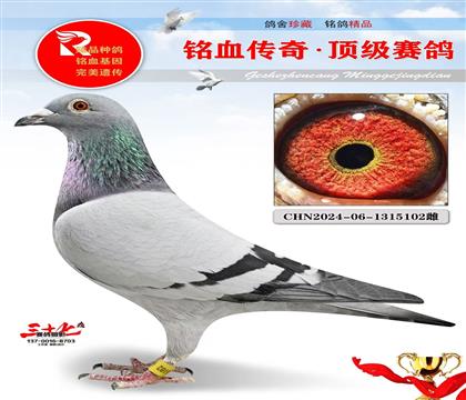 老英格斯子代、本人非常推荐