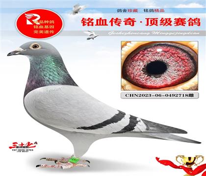 兰布瑞契、琳莎直孙女