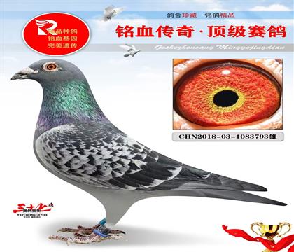 久盟利奥、原舍做出