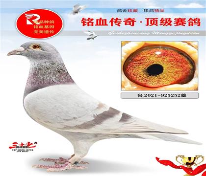 金粉佳人直孙、极品凡登布克