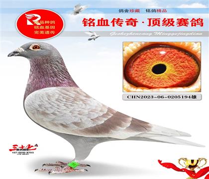 凡登布克、好红回血