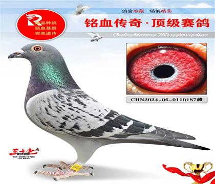 纯 布克斯、速度狂魔