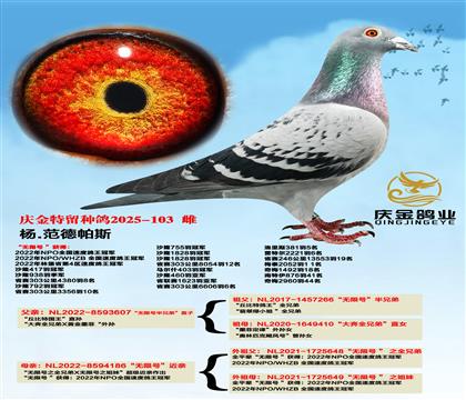 杨.范德帕斯“无限号”半兄弟直子x“无限号”近亲20