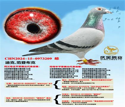 迪克.范登布克“基特尔006”直子x“基特尔”直女