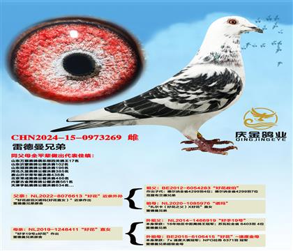 雷德曼兄弟“好花”近亲外孙x“好花”直女