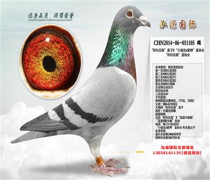 五关综合31 “所向无敌”直子X“小迪克x爱神”直孙女