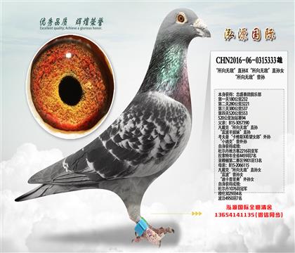 忠盛公棚加站94 “所向无敌”直孙X“所向无敌”直孙女