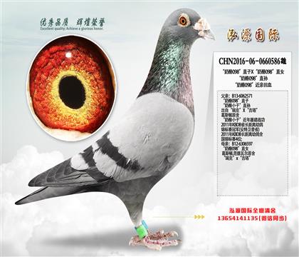 多羽公棚高位父亲 “奶酪098”直子X“奶酪098”直女