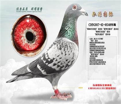 “奥林匹克003”直孙X“新梦幻配对”直孙女