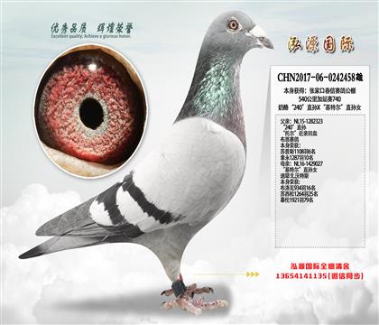 公棚加站740 奶酪“240”直孙X“基特尔”直孙女