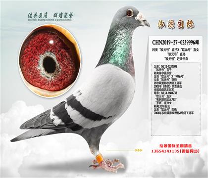 《推荐》“欧元号”直孙