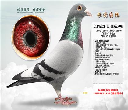 “基特尔”直孙X“基特尔”直孙女