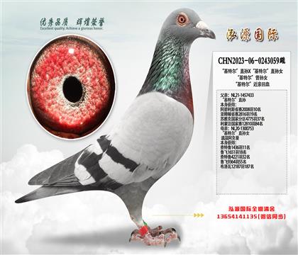 “基特尔”直孙X“基特尔”直孙女