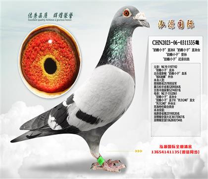 “奶酪小子”直孙X“奶酪小子”直孙女