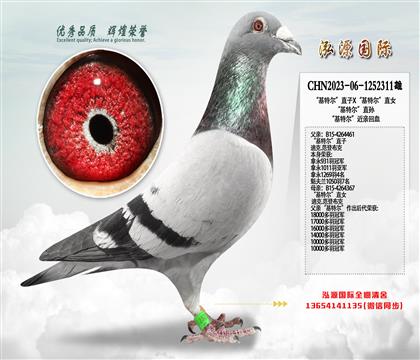 “基特尔”直子X“基特尔”直女