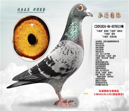 “小迪克”直孙X“小迪克”直孙女