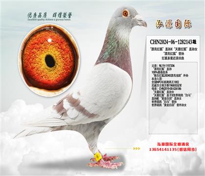 “漂亮红狐”直孙X“天霸红狐”直孙女