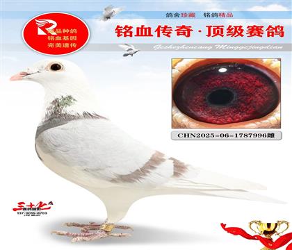 最好的凡登布克、极品