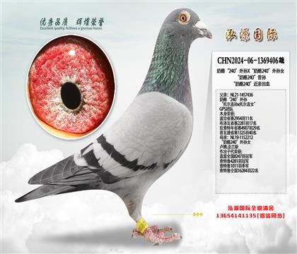 奶酪“240”外孙X“奶酪240”外孙女