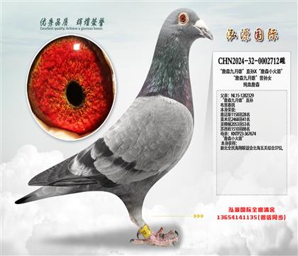 “詹森九月雄”直孙X“詹森小火箭”