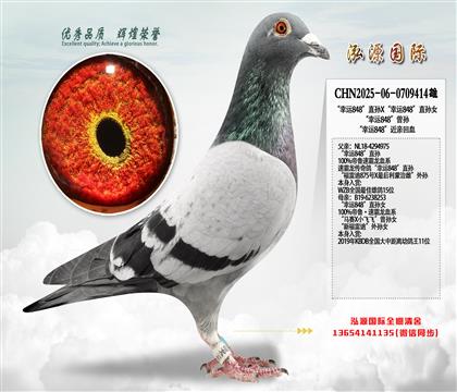 “幸运848”直孙X“幸运848”直孙女