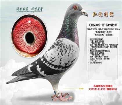 “奥林匹克003”直孙X“奥林匹克003”直孙女