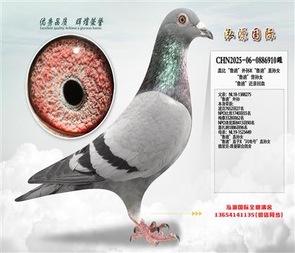 盖比“鲁迪”外孙X“鲁迪”直孙女