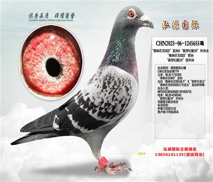 “奥林匹克003”直孙X“新梦幻配对”外孙女