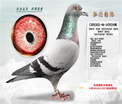 “基特尔”外孙X“好红号全兄弟”直孙女