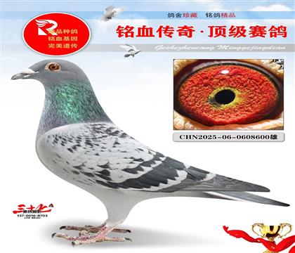 奶酪017直子·直女、非常难得