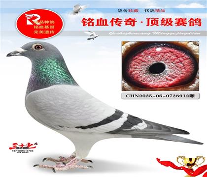 郭元龄、神奇号、非常好