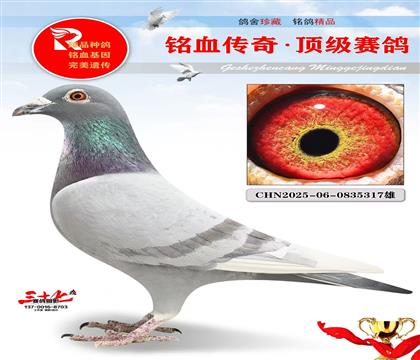 彩虹号、神州开尔专线