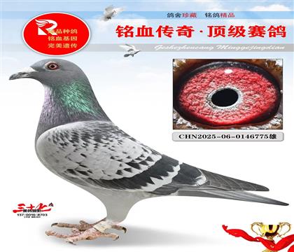 马克詹森、速度魔鬼